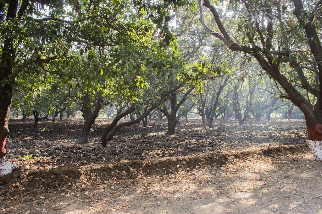 Отель Mati - The Farm Даман Экстерьер фото